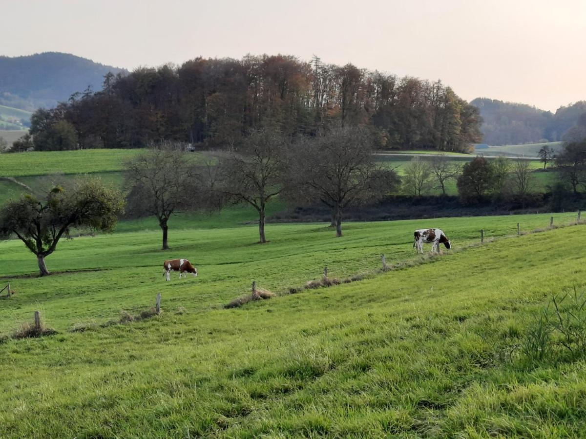 Ferienwohnung Odenwaldflair Reichelsheim Exterior foto